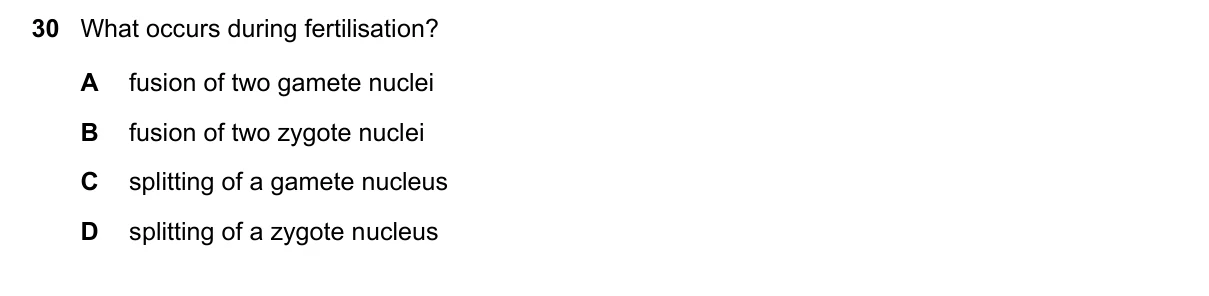Question 30, November 2022, 0610 Paper 12
