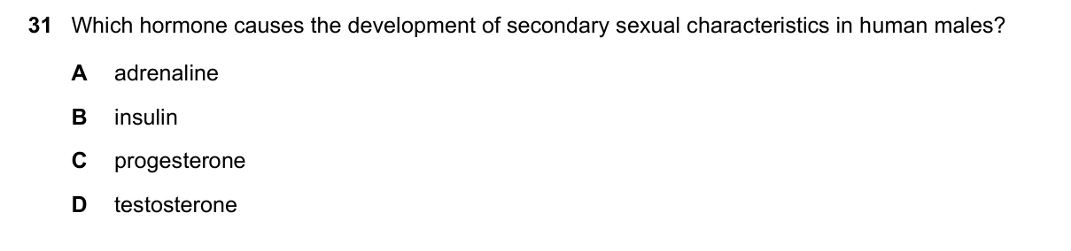 Question 31, November 2022, 0610 Paper 12