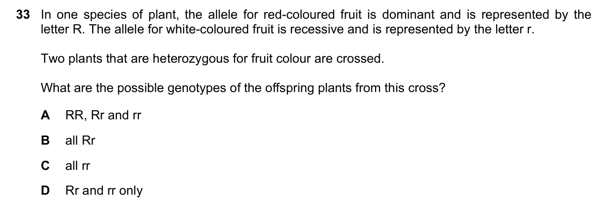 Question 33, November 2022, 0610 Paper 12