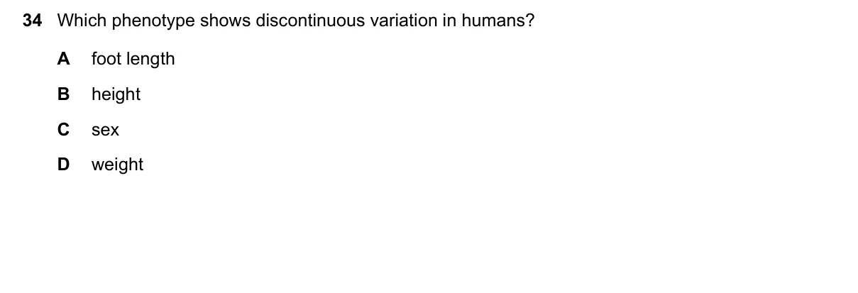 Question 34, November 2022, 0610 Paper 12