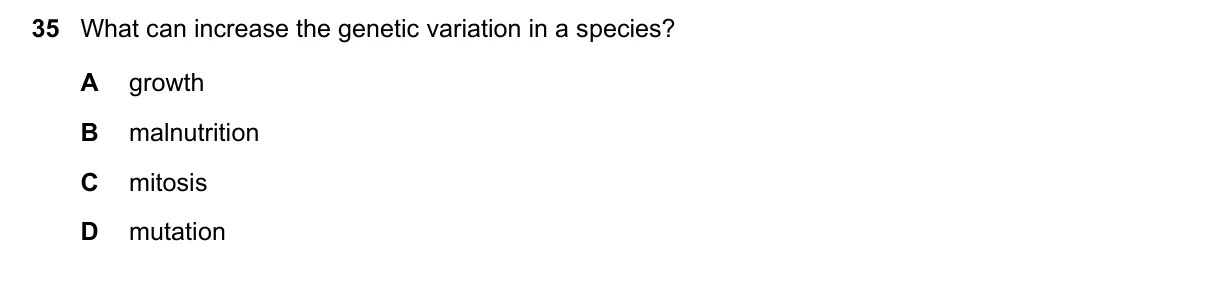 Question 35, November 2022, 0610 Paper 12