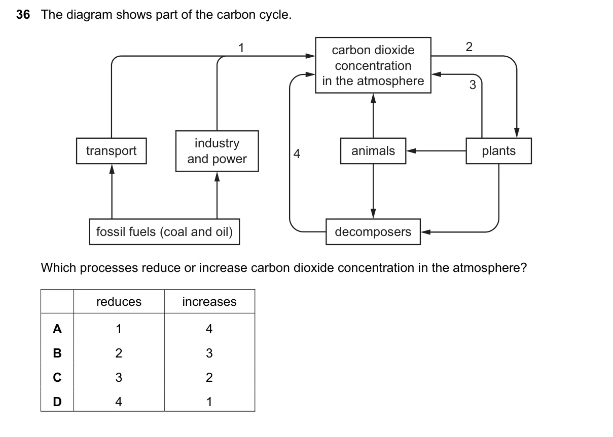 Question 36, November 2022, 0610 Paper 12