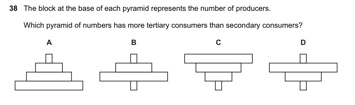 Question 38, November 2022, 0610 Paper 12