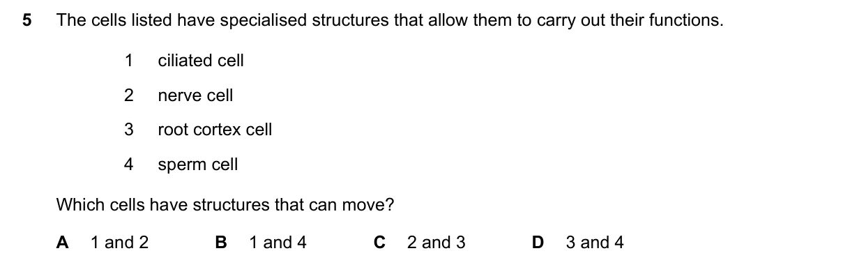 Question 5, November 2022, 0610 Paper 12