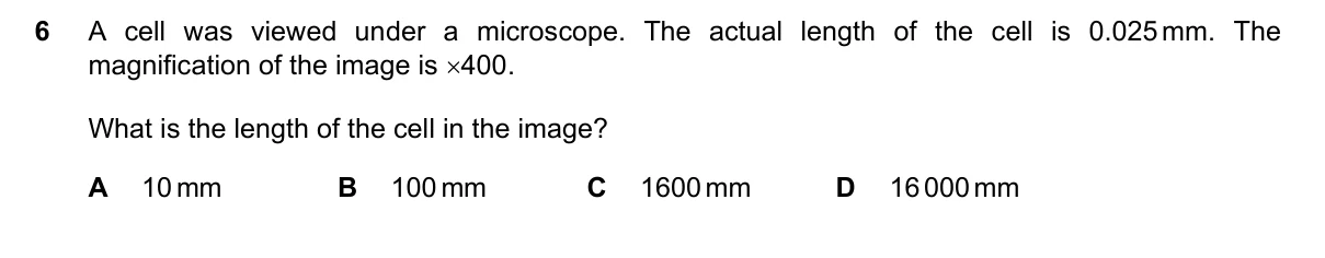 Question 6, November 2022, 0610 Paper 12