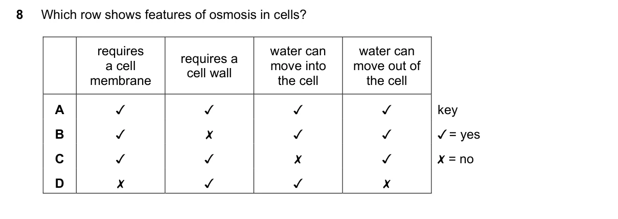 Question 8, November 2022, 0610 Paper 12