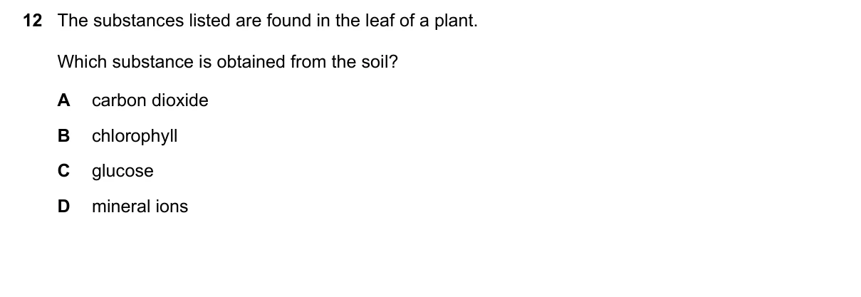 Question 12, November 2022, 0610 Paper 22