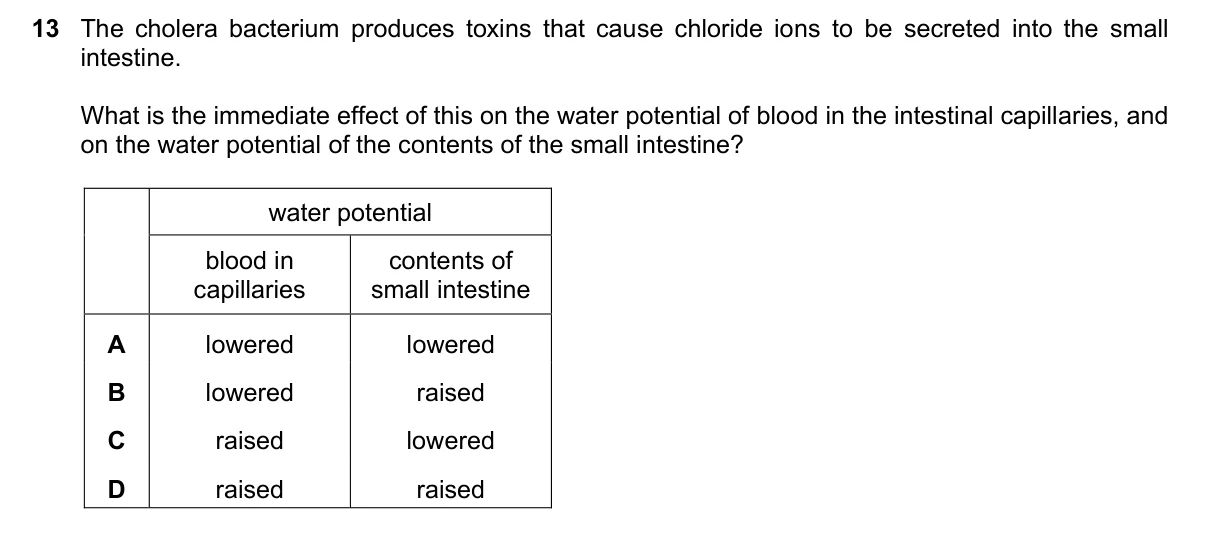 Question 13, November 2022, 0610 Paper 22