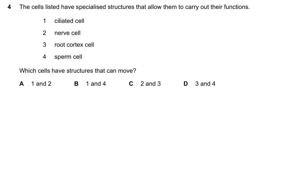 Question 4, November 2022, 0610 Paper 22