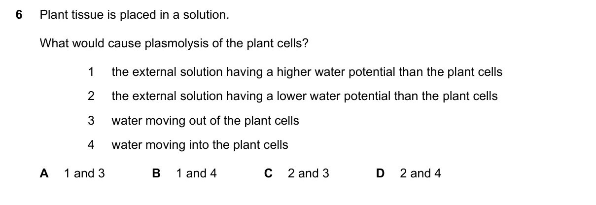 Question 6, November 2022, 0610 Paper 22
