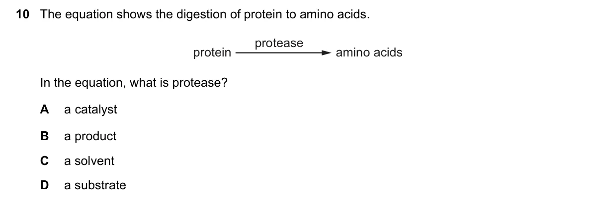 Question 10, November 2022, 0610 Paper 13