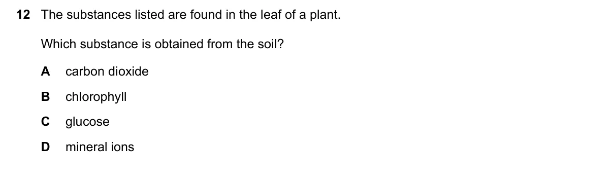 Question 12, November 2022, 0610 Paper 13