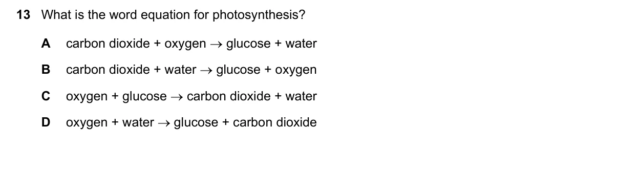 Question 13, November 2022, 0610 Paper 13