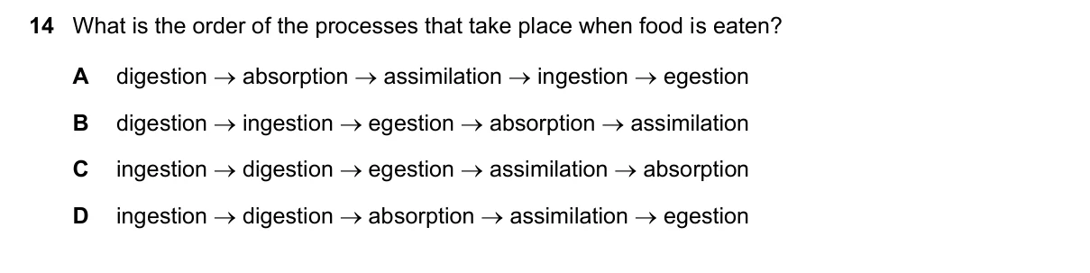 Question 14, November 2022, 0610 Paper 13