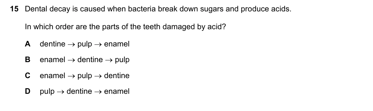 Question 15, November 2022, 0610 Paper 13