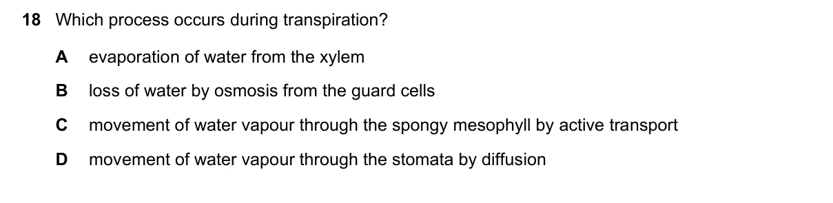 Question 18, November 2022, 0610 Paper 13
