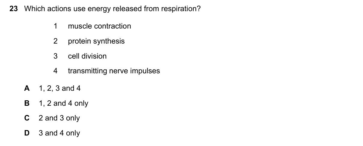 Question 23, November 2022, 0610 Paper 13
