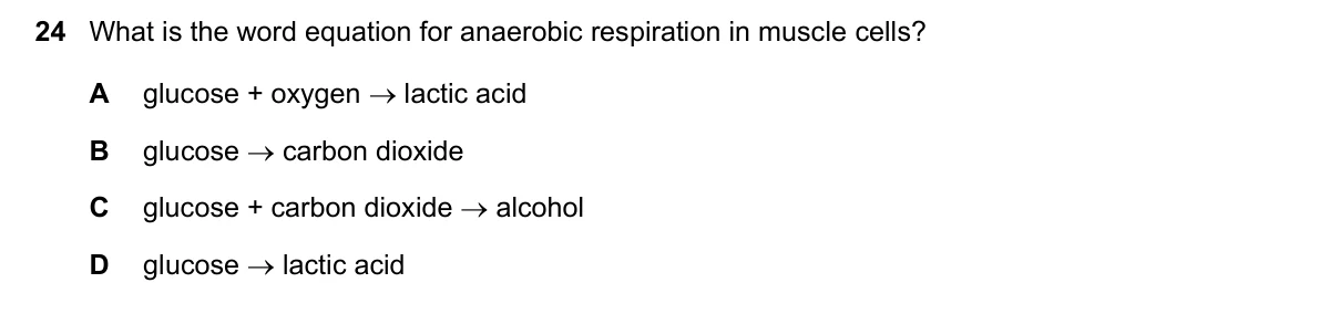 Question 24, November 2022, 0610 Paper 13