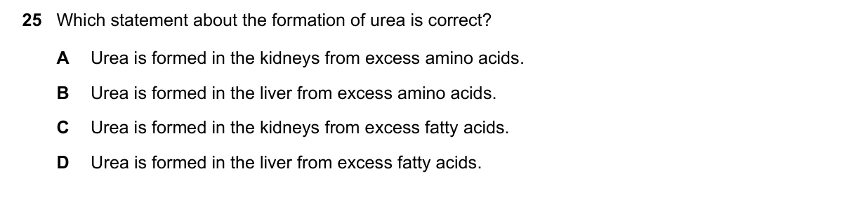 Question 25, November 2022, 0610 Paper 13