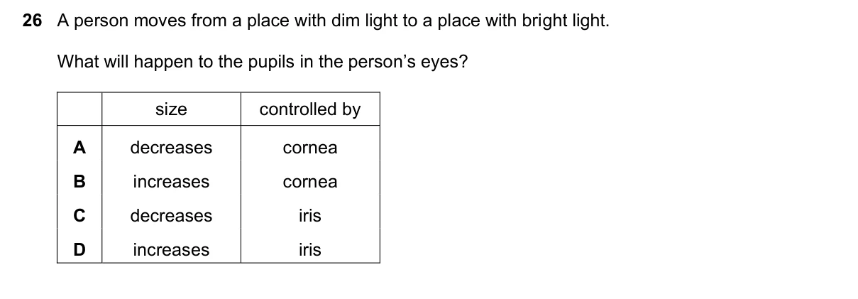 Question 26, November 2022, 0610 Paper 13
