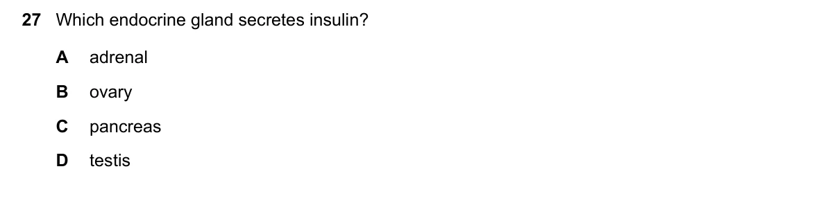 Question 27, November 2022, 0610 Paper 13