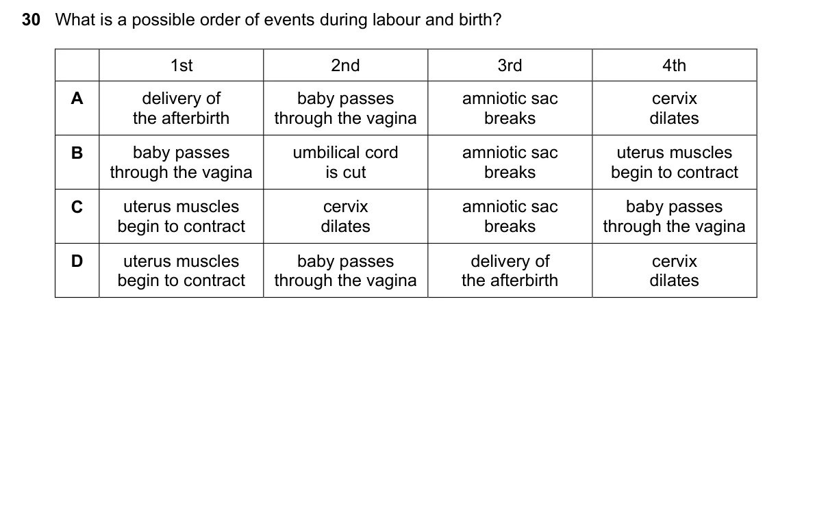 Question 30, November 2022, 0610 Paper 13
