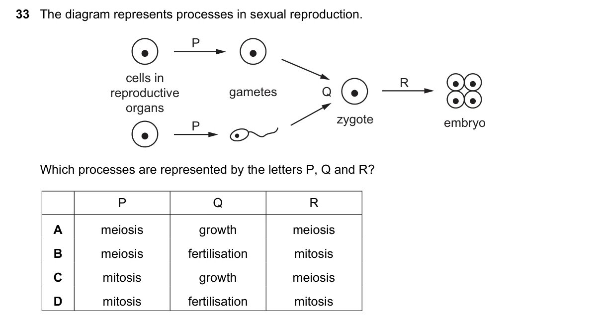 Question 33, November 2022, 0610 Paper 13