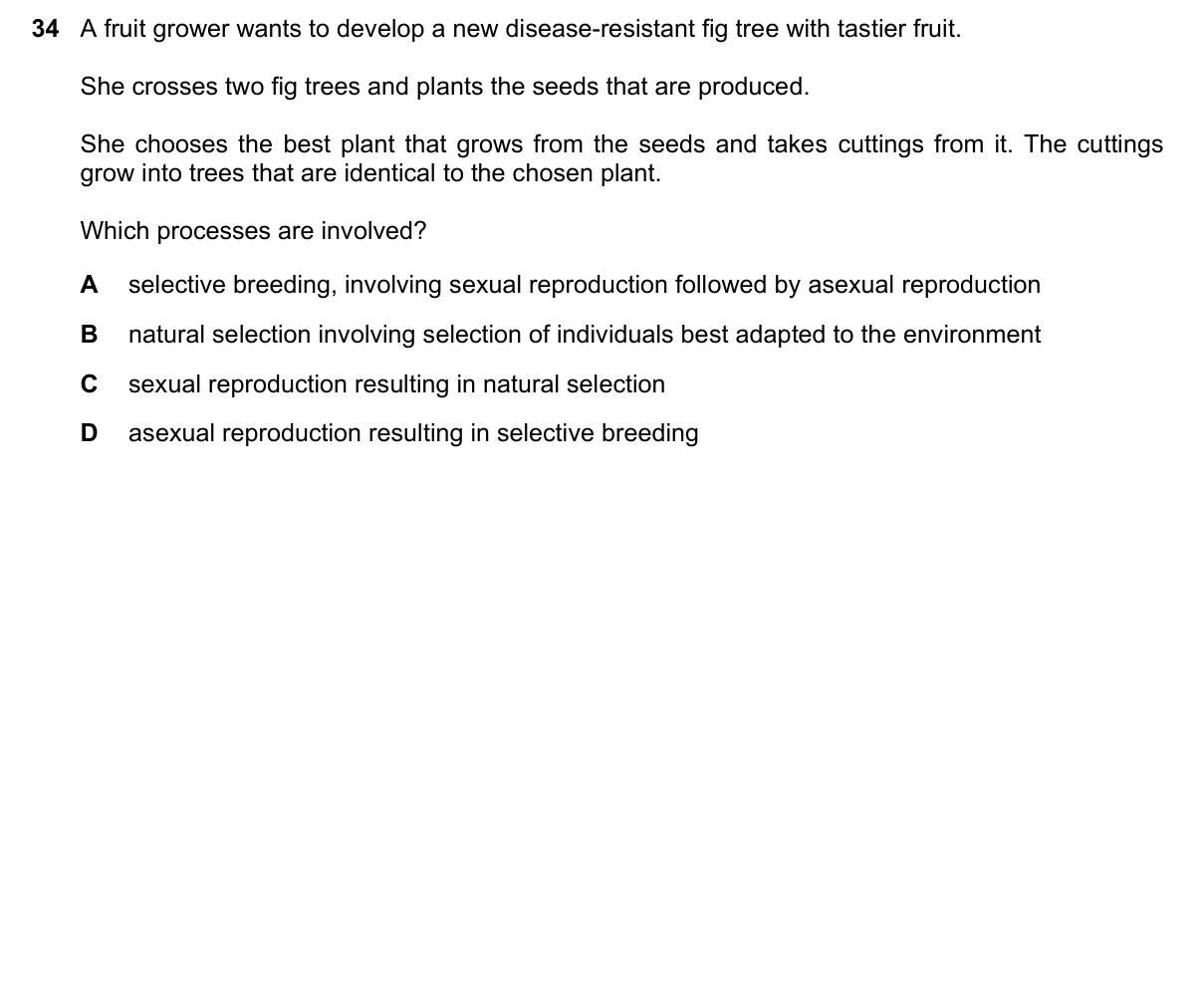 Question 34, November 2022, 0610 Paper 13