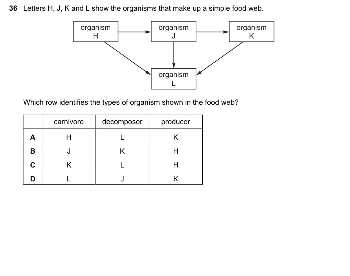 Question 36, November 2022, 0610 Paper 13