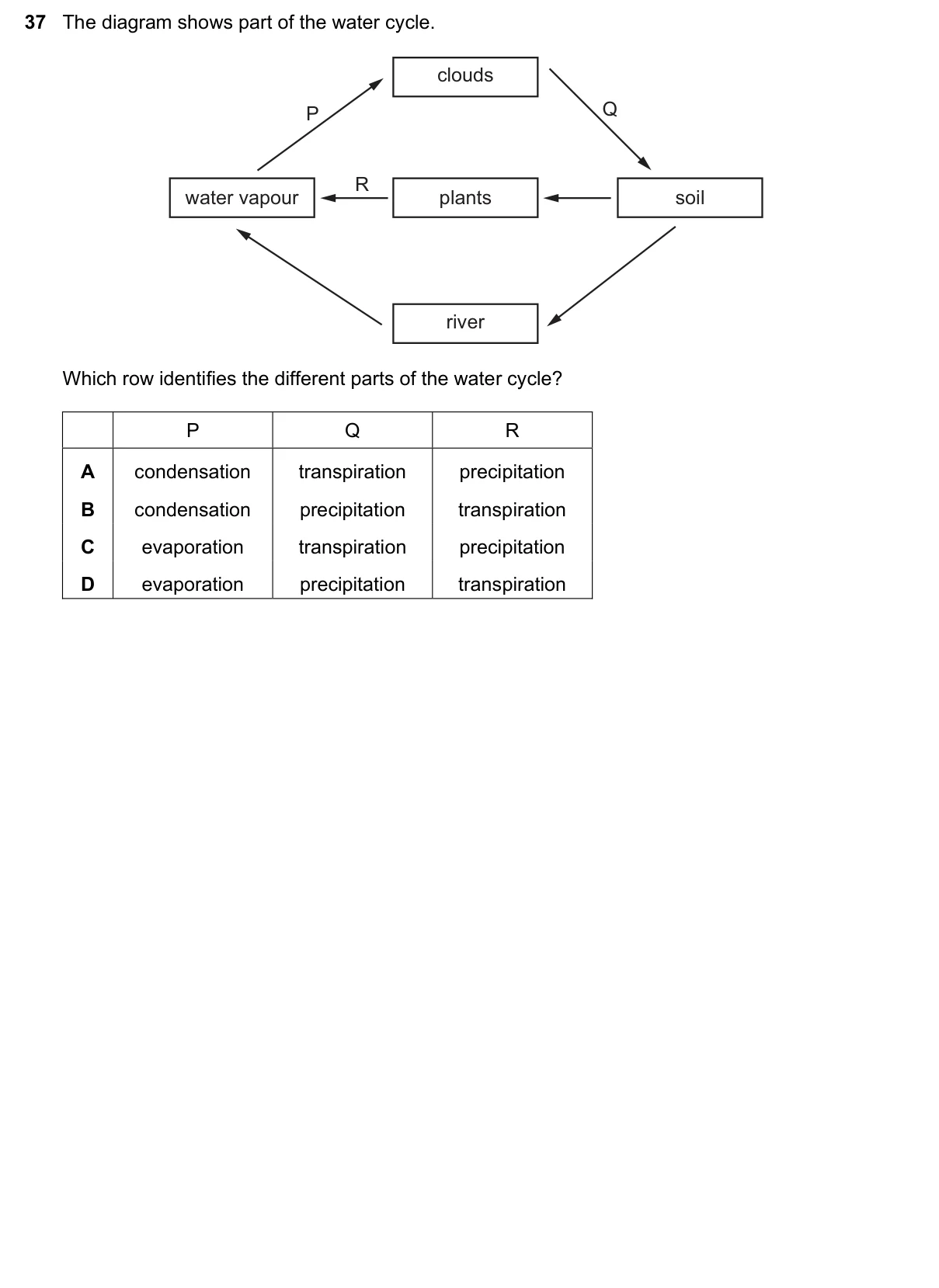 Question 37, November 2022, 0610 Paper 13