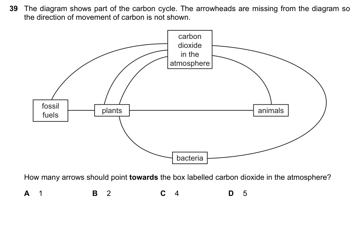 Question 39, November 2022, 0610 Paper 13