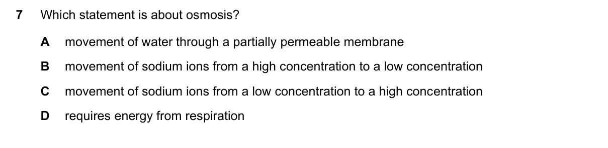 Question 7, November 2022, 0610 Paper 13
