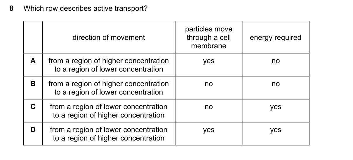 Question 8, November 2022, 0610 Paper 13