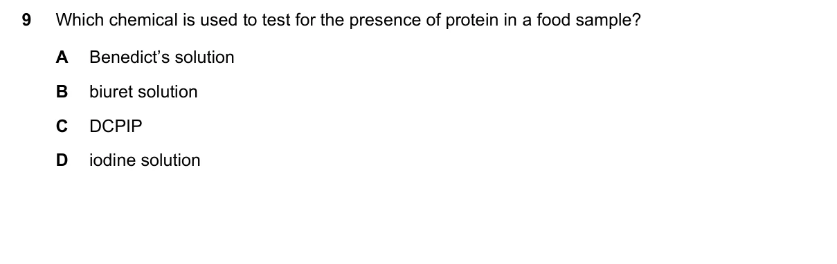 Question 9, November 2022, 0610 Paper 13