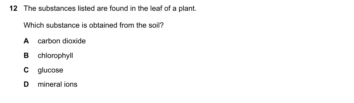 Question 12, November 2022, 0610 Paper 23