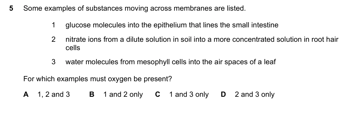 Question 5, November 2022, 0610 Paper 23