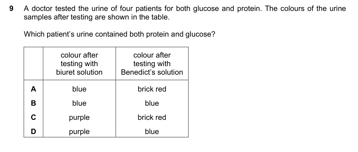 Question 9, November 2022, 0610 Paper 23