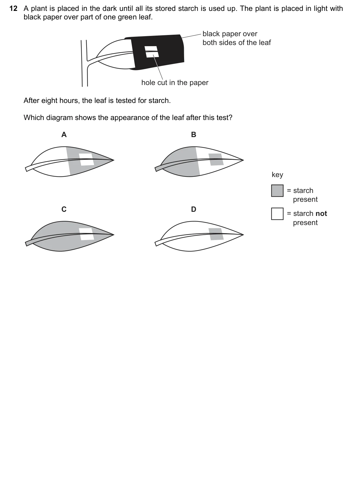Question 12, March 2023, 0610 Paper 12