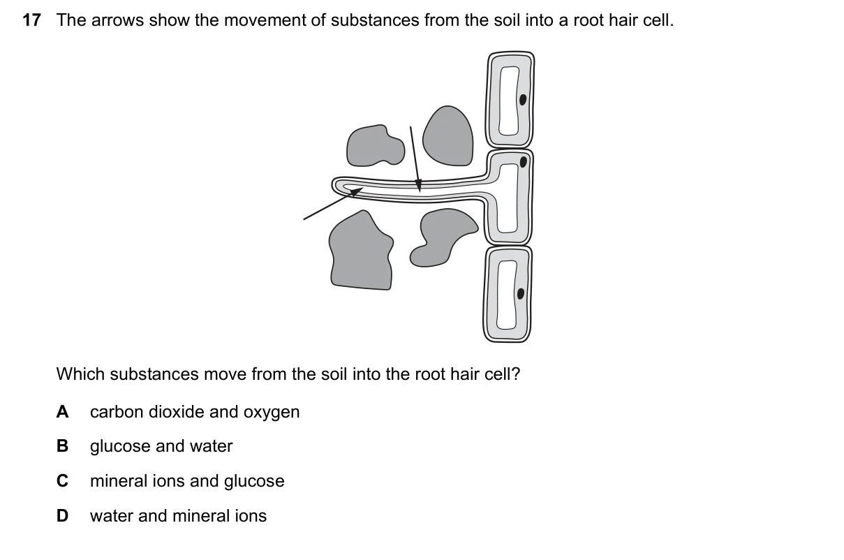 Question 17, March 2023, 0610 Paper 12
