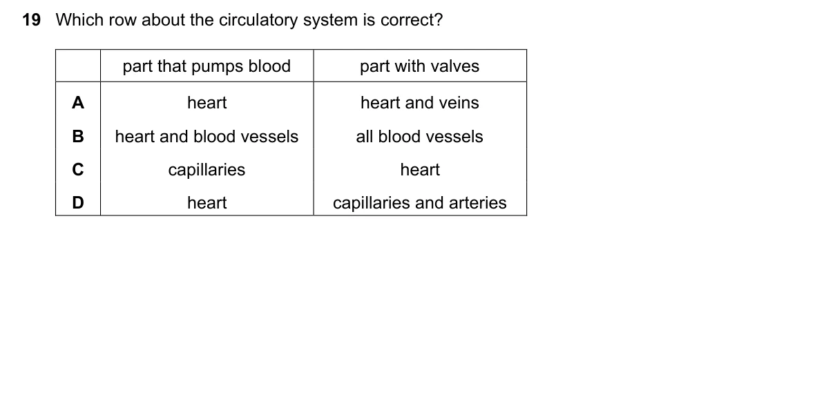 Question 19, March 2023, 0610 Paper 12