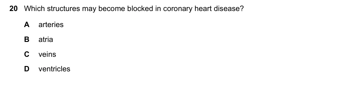 Question 20, March 2023, 0610 Paper 12