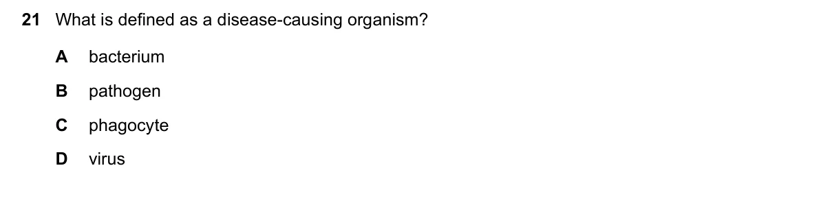 Question 21, March 2023, 0610 Paper 12