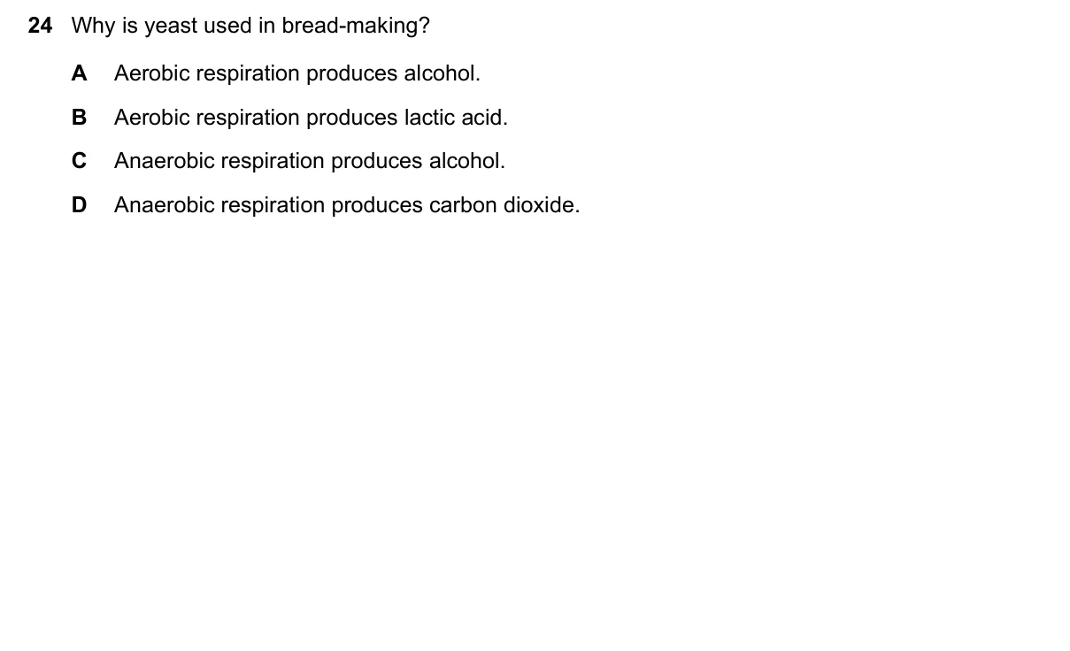 Question 24, March 2023, 0610 Paper 12