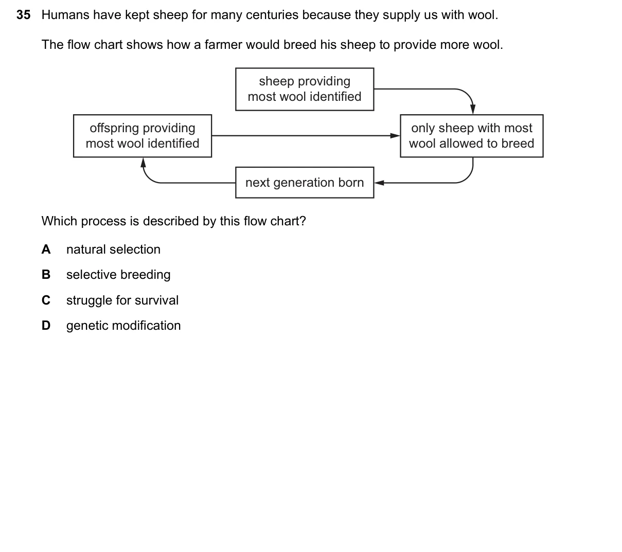 Question 35, March 2023, 0610 Paper 12