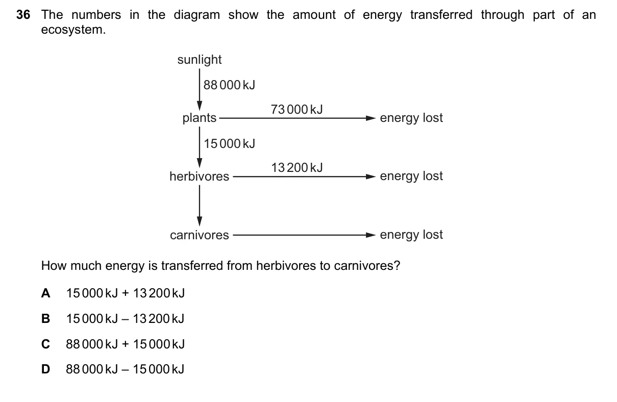 Question 36, March 2023, 0610 Paper 12