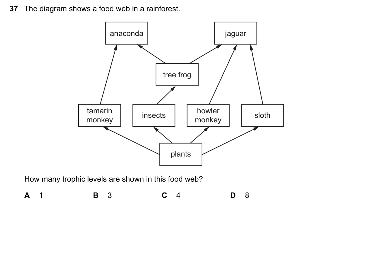 Question 37, March 2023, 0610 Paper 12