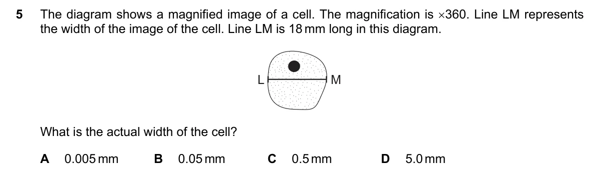 Question 5, March 2023, 0610 Paper 12