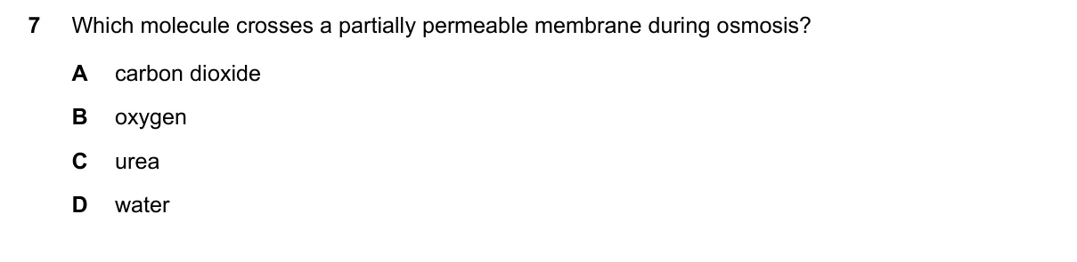 Question 7, March 2023, 0610 Paper 12