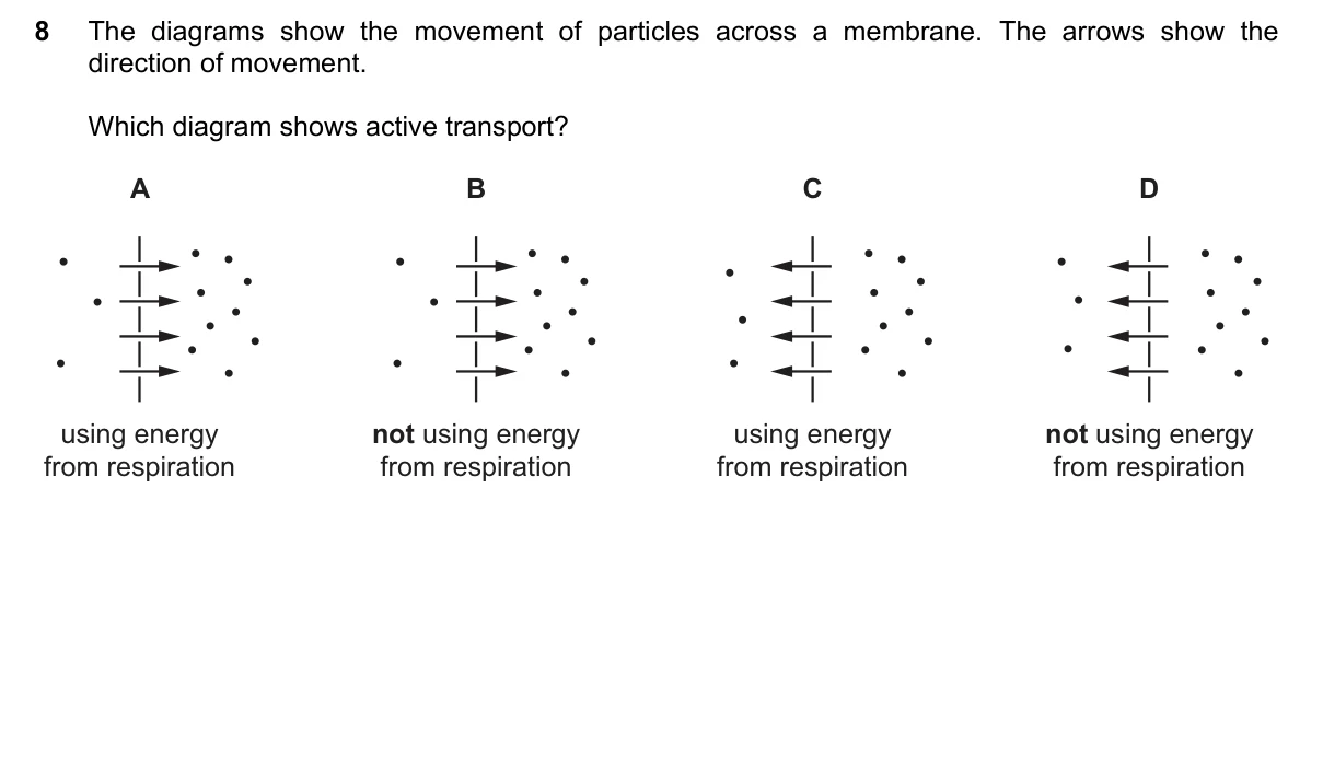 Question 8, March 2023, 0610 Paper 12