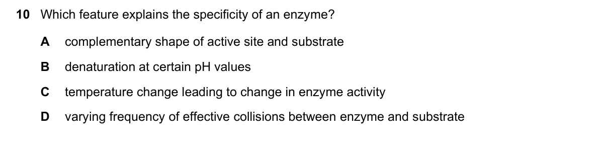 Question 10, March 2023, 0610 Paper 22